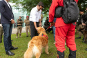 Governo do Paraná vai comprar 93 cães para reforçar atividades policiais e de salvamento