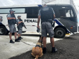Ação das forças de segurança Verão Maior Paraná resulta em queda de homicídios no Litoral
