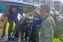 Pela 1ª vez, PCPR treina cães farejadores em aeronaves para ambientação de operações