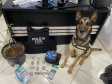 PCPR prende 12 pessoas em operação de combate ao tráfico de drogas em Guarapuava
