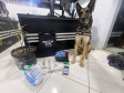 PCPR prende 12 pessoas em operação de combate ao tráfico de drogas em Guarapuava