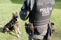 PCPR abre inscrições para o 1° Curso de Operações Policiais com Cães