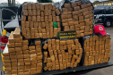 Paraná bate recorde de apreensão de drogas no 1.º trimestre: crescimento de 155%