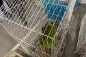 PCPR deflagra operação para desarticular um dos maiores grupos de tráfico internacional de animais do País