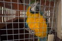 PCPR deflagra operação para desarticular um dos maiores grupos de tráfico internacional de animais do País