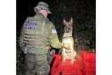 Faro apurado: canis da PMPR causam prejuízo de R$ 900 milhões ao crime desde 2023