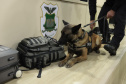 PCPR forma sete condutores em curso inédito de operações policiais com cães