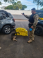 Cadela da Polícia Penal do Paraná encontra 81 kg de maconha em ação com a PRF