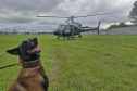 Operações com cães da PCPR ajudaram a tirar 5,7 toneladas de drogas de circulação em 2025