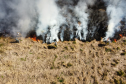 Atear fogo em lixo em terrenos baldios responde por mais de 30% dos incêndios no Paraná