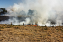 Atear fogo em lixo em terrenos baldios responde por mais de 30% dos incêndios no Paraná