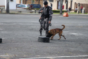 1ª Cãocorrida da CIOC celebra sucesso de cães da PM no combate ao crime