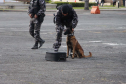 1ª Cãocorrida da CIOC celebra sucesso de cães da PM no combate ao crime