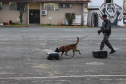 1ª Cãocorrida da CIOC celebra sucesso de cães da PM no combate ao crime
