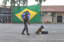 1ª Cãocorrida da CIOC celebra sucesso de cães da PM no combate ao crime