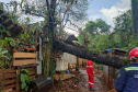 Corpo de Bombeiros do Paraná alerta sobre cuidados diante de fortes chuvas e ventos