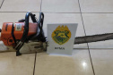 Polícias do Paraná prendem homem por desmatar 106 hectares de floresta em Rio Azul