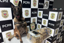 PMPR e PCPR apreendem quase 150 toneladas de drogas com apoio de cães em 2025