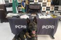 PMPR e PCPR apreendem quase 150 toneladas de drogas com apoio de cães em 2025