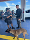 Forças de segurança realizam ação integrada com cães de faro na balsa de Guaratuba