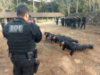 Preparo e tecnologia: Setor de Operações Especiais da Polícia Penal completa 12 anos