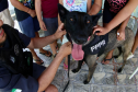 Cães da Polícia Penal reforçam segurança no Litoral durante o Verão Maior Paraná