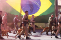 PMPR forma novos policiais especializados no uso de cães e reforça atuação no combate ao crime no Estado