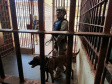 Polícia Penal do Paraná reforça segurança penitenciária durante a 11ª fase da Operação Mute