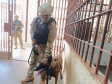 Polícia Penal do Paraná reforça segurança penitenciária durante a 11ª fase da Operação Mute
