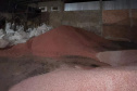 PCPR prende 7 e apreende maquinário para adulteração de fertilizantes em Ponta Grossa