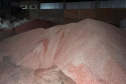 PCPR prende 7 e apreende maquinário para adulteração de fertilizantes em Ponta Grossa