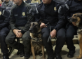 Polícia Civil do Paraná apreende armas e haxixe na Rodoviária de Curitiba