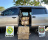 Mais de 2,6 toneladas de maconha são apreendidas em ações da PMPR no Oeste do Paraná