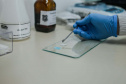 De testes de rotina às novas drogas: como a Polícia Científica identifica as substâncias apreendidas