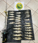 PMPR prende dois homens por pesca irregular no Rio Paraná, em Icaraíma