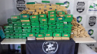 Denarc apreende mais de meia tonelada de maconha em Cascavel

