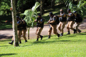 São José dos Pinhais, 30 de março de 2019. Exercício de APH Tático - 17º BPM
