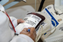 Curitiba, 28 de junho de 2019. Campanha Junho Vermelho - Doação de Sangue