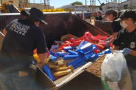PCPR incinera 4 toneladas de drogas em Cascavel 
