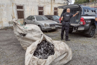 PCPR prende em flagrante suspeitos de receptação durante operação contra furtos e roubos de cabos