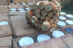  Batalhão Ambiental apreende três toneladas de palmito em fábrica clandestina em Guaraqueçaba