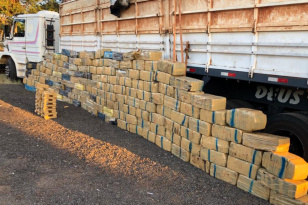 PCPR, PRF e PMSP apreendem quase três toneladas de maconha