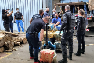 PCPR incinera mais de 2 toneladas de drogas em Ponta Grossa 