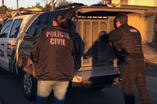 PCPR apreende 323 quilos de maconha na RMC 