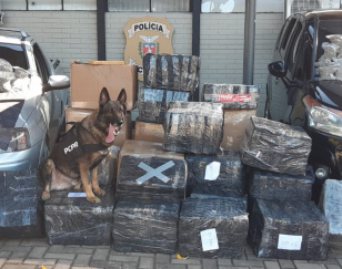 A Polícia Civil do Paraná (PCPR) apreendeu 876,6 quilos de maconha e prendeu um homem, de 20 anos, em flagrante por tráfico de drogas em Foz do Iguaçu, região Oeste do Estado, na quarta-feira (15). Trezentos e sessenta e sete quilos de maconha foram apreendidos dentro de um veículo e o restante em uma casa. 