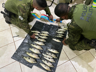 PMPR prende dois homens por pesca irregular no Rio Paraná, em Icaraíma