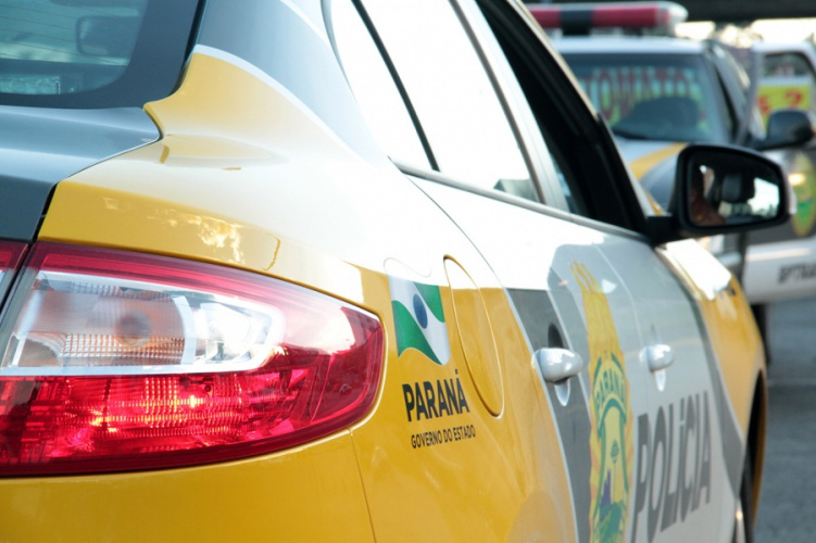 PM encontra rinha de galo após denúncia e apreende 22 aves em Sapopema (PR)