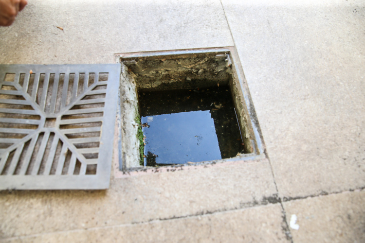 Paraná mobiliza mais de 700 pessoas contra a dengue no sábado