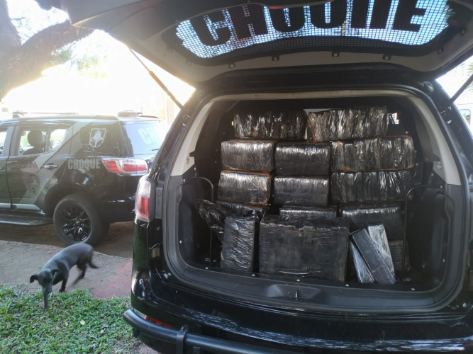 PM apreende quase 300 quilos de maconha e prende cinco pessoas em Cascavel (PR)