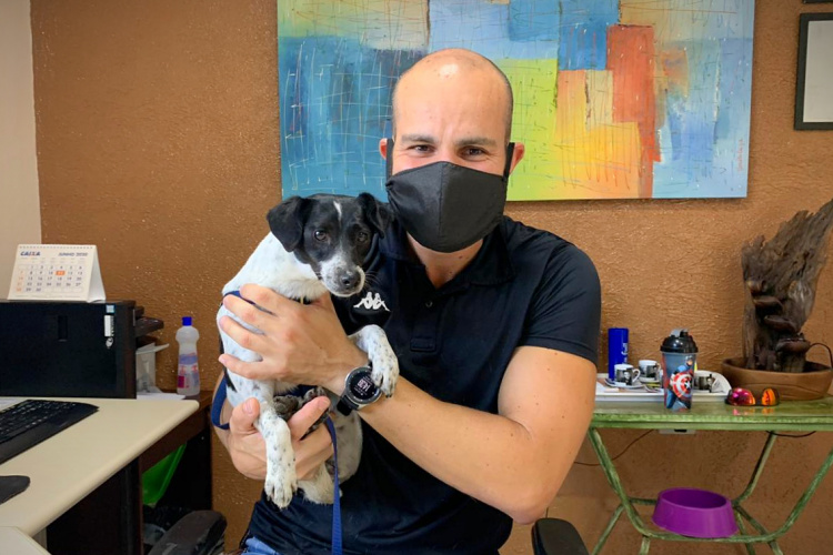 PCPR adota cachorra de rua vítima de maus-tratos